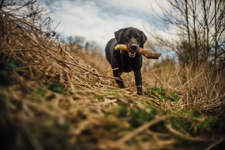 Sony A7s + Canon 35mm f/1.5 LTM Lens