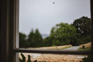 Plas Dinam Country House looking out of the window